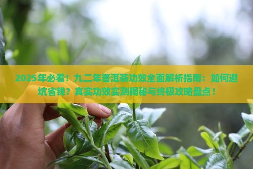 九二年普洱茶的功效
