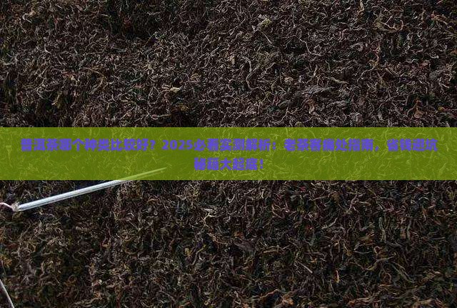 普洱茶哪个种类比较好