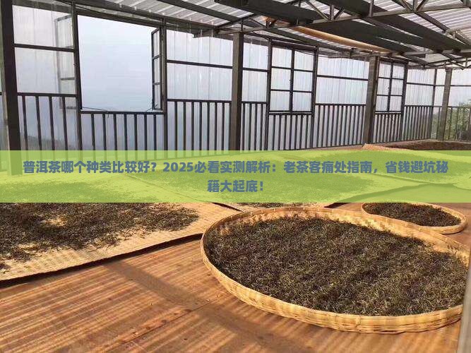 普洱茶哪个种类比较好