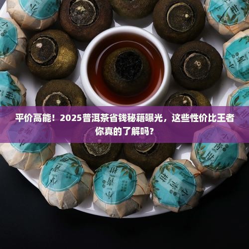 平价性价比高的普洱茶