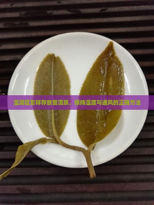 湿润区怎样存放普洱茶