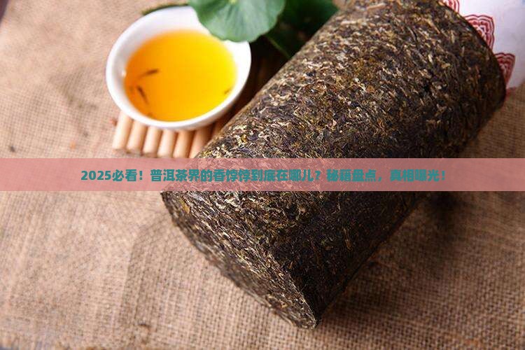 哪个茶区的普洱茶最香