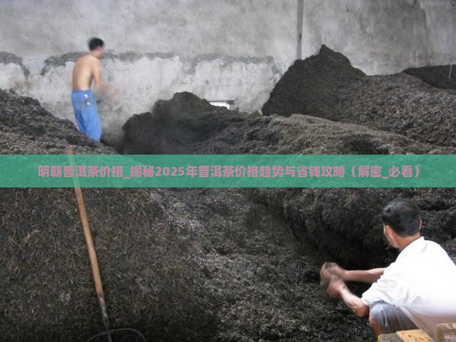 明朝普洱茶价格