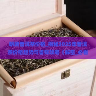 明朝普洱茶价格