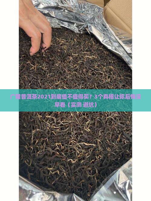 广隆普洱茶2021