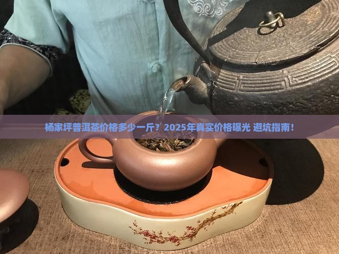 杨家坪普洱茶价格多少一斤