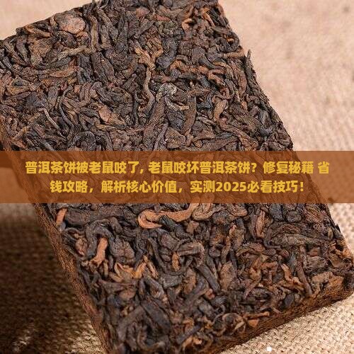 普洱茶饼被老鼠咬了