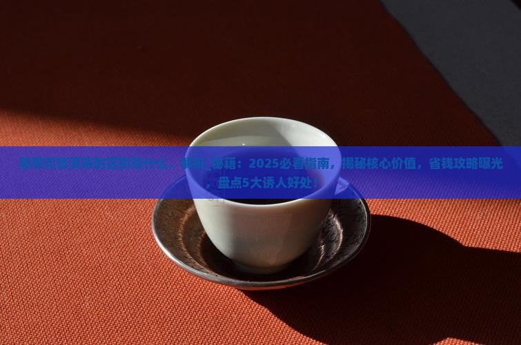 酸菜和普洱茶的区别是什么