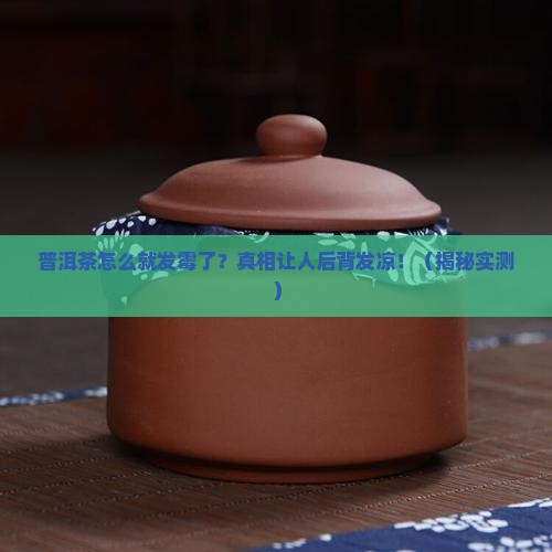 普洱茶为何发霉