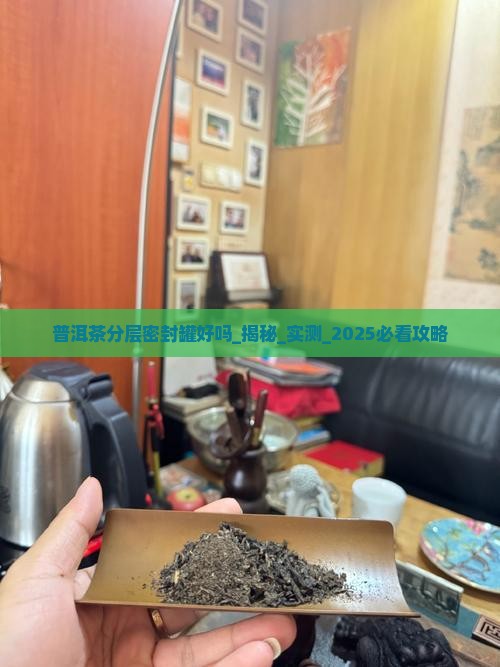 普洱茶分层密封罐好吗