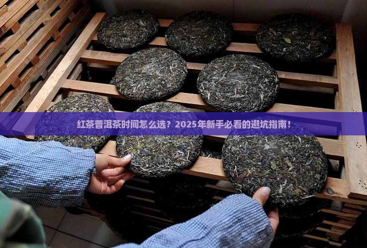 红茶普洱茶时间
