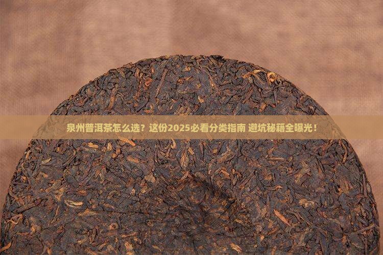 泉州普洱茶分类标准是什么