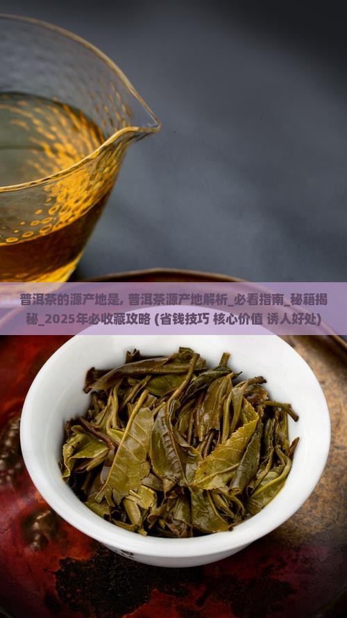 普洱茶的源产地是