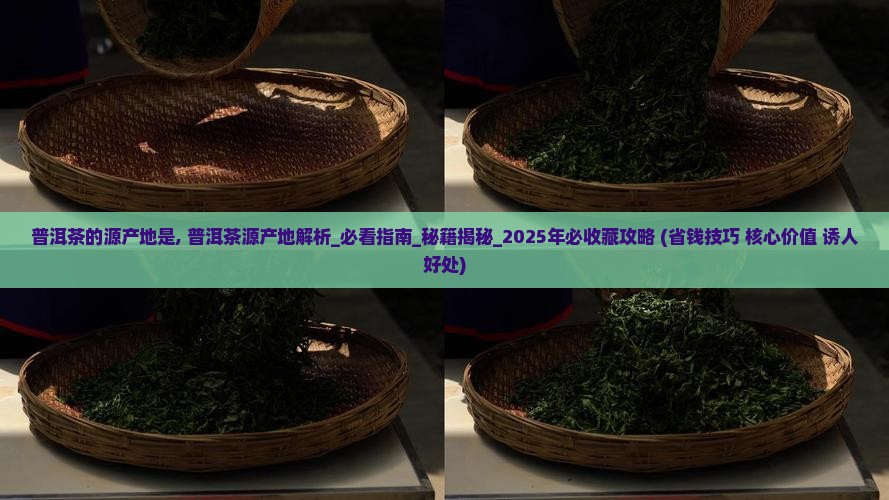 普洱茶的源产地是