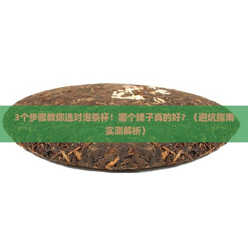 茶水杯怎么用泡茶杯子哪个牌子好