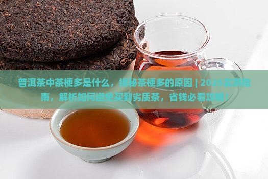 普洱茶中茶梗多是什么
