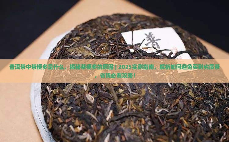 普洱茶中茶梗多是什么