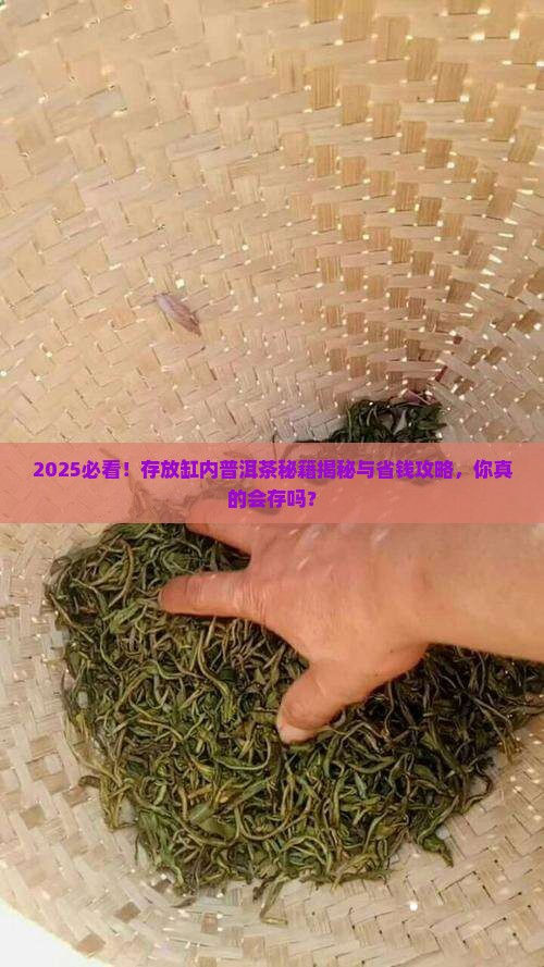 存放缸内普洱茶