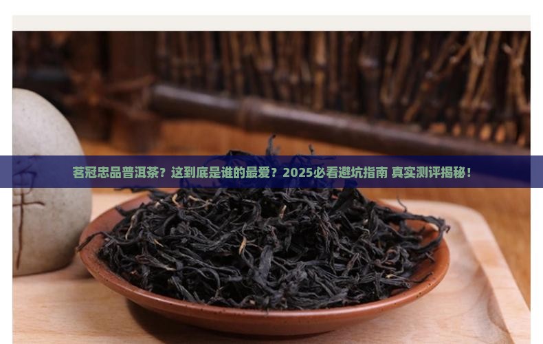 茗冠忠品普洱茶