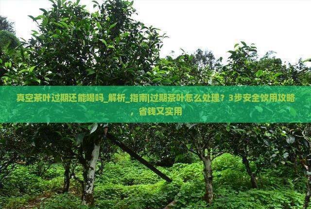 真空茶叶过期还能喝吗
