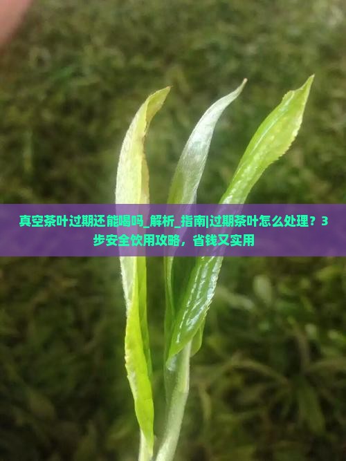 真空茶叶过期还能喝吗