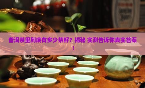 普洱茶里有多少茶籽