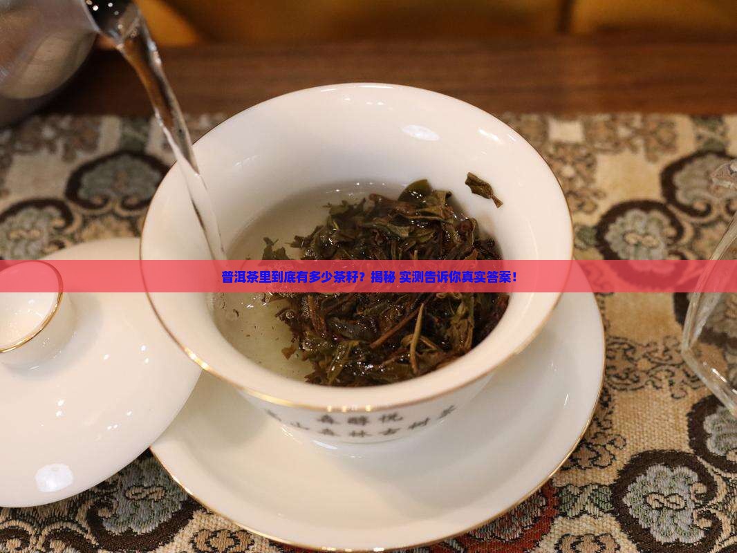 普洱茶里有多少茶籽