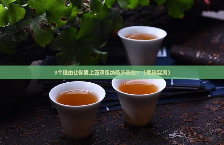 西双版纳茶庐茶业