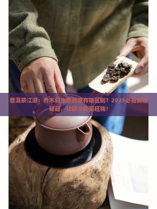 普洱茶中乔木和生态的区别