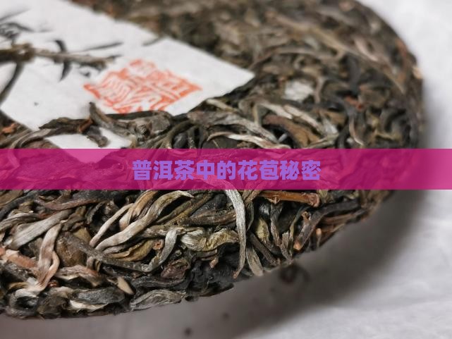 普洱茶里有花蕾