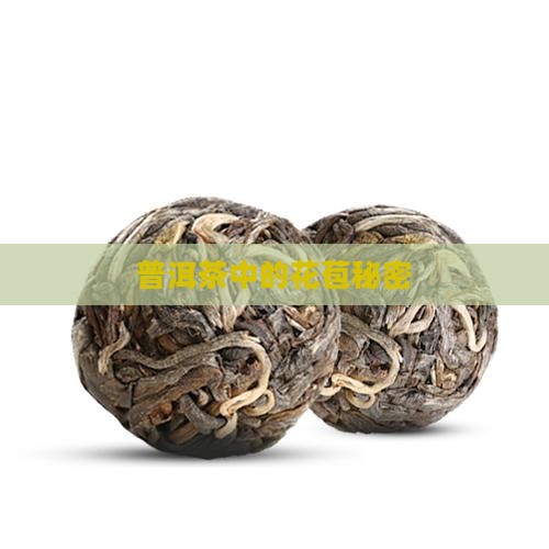普洱茶里有花蕾