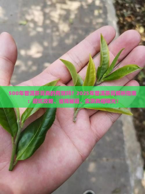 500年普洱茶膏