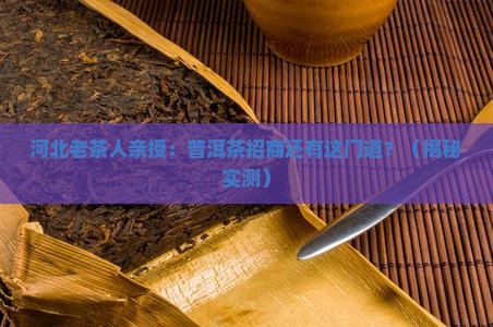 河北资深普洱茶招商