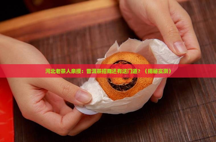 河北资深普洱茶招商