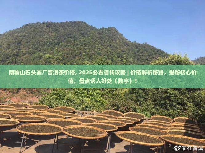 南糯山石头寨厂普洱茶价格