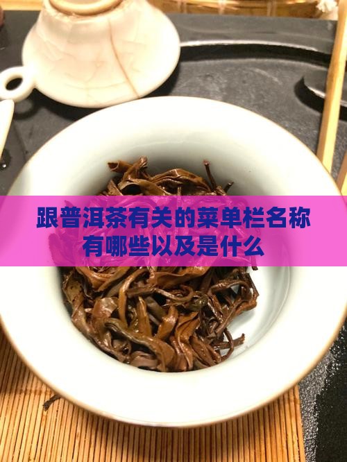 跟普洱茶有关的菜单栏名称