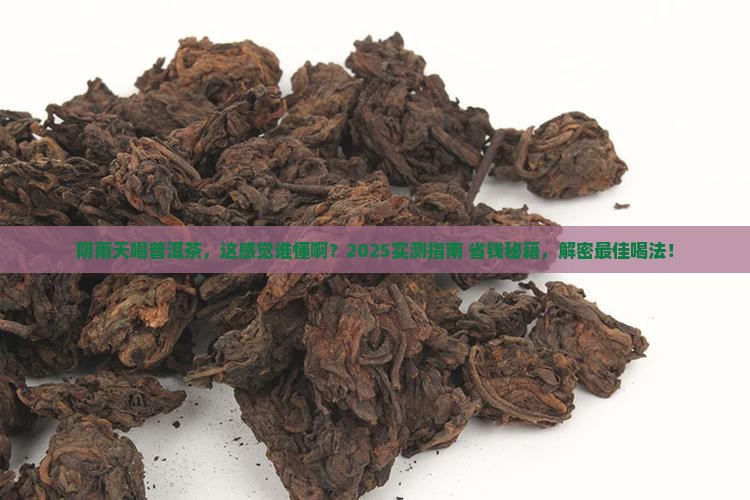 阴雨天喝普洱茶