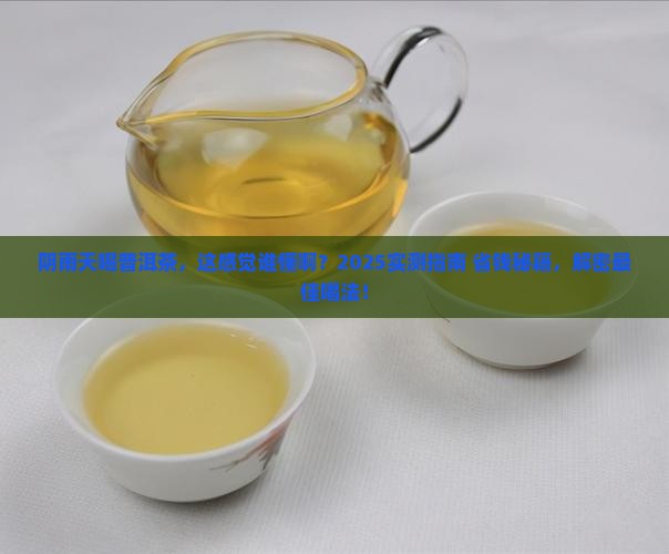 阴雨天喝普洱茶
