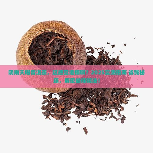 阴雨天喝普洱茶