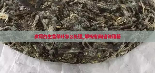 发霉的生普茶叶怎么处理