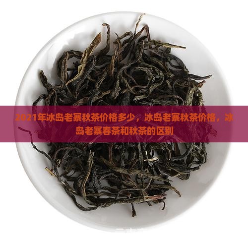 2021年冰岛老寨秋茶