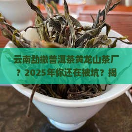 云南勐撤普洱茶黄龙山茶厂