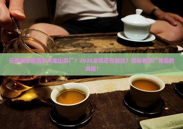 云南勐撤普洱茶黄龙山茶厂