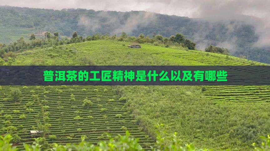普洱茶的工匠精神