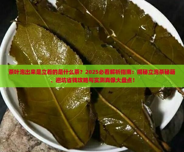 茶叶泡出来是立着的是什么茶