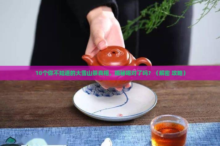 懂过大雪山茶特点