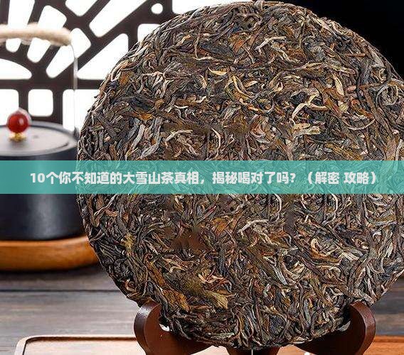 懂过大雪山茶特点