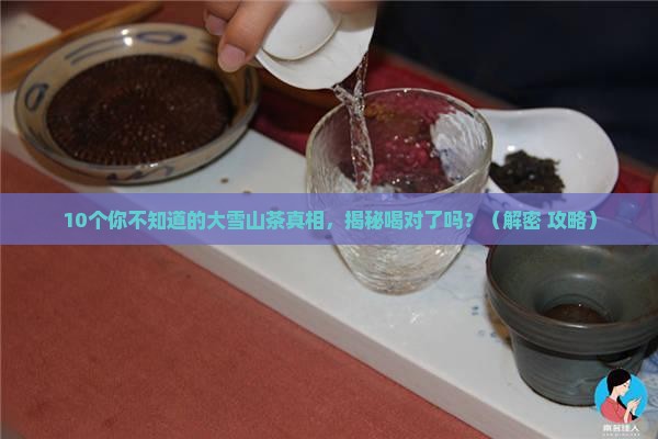懂过大雪山茶特点