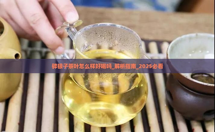 碎银子茶叶怎么样好喝吗