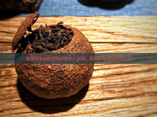 普洱茶毛尖购买购价多少一斤